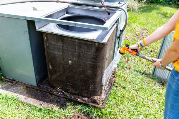 Best Air Duct Cleaning Near Me  in Brandon, FL